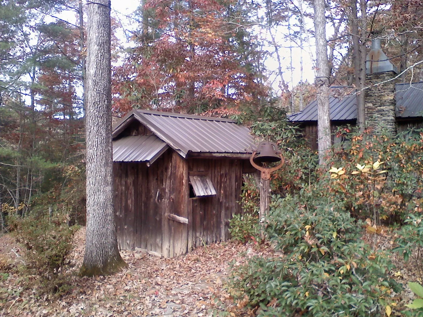 Small metal roof on a rough sawn shed in the woods in Ferndale