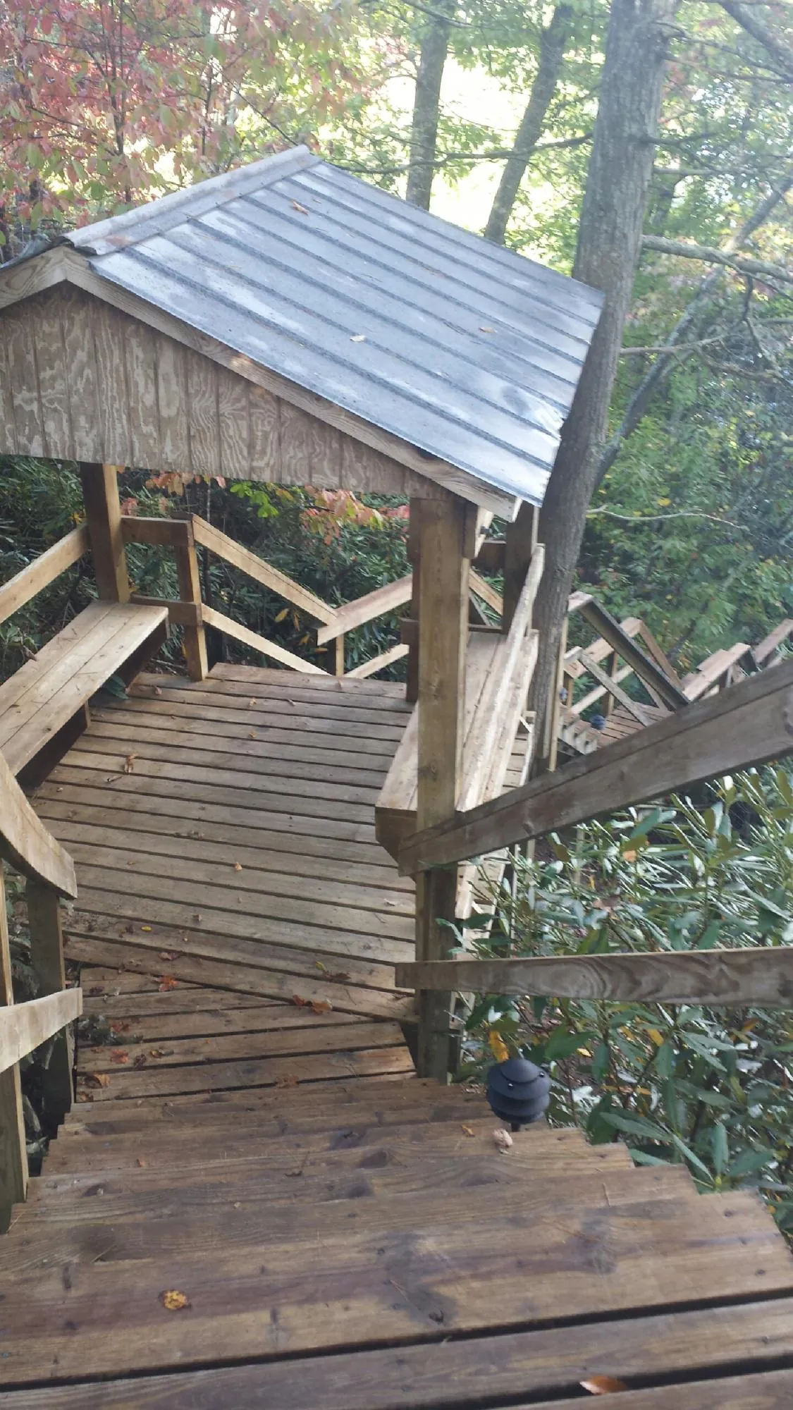 Metal roofed shelter over wooden steps on a wooded walkway — Skylight Repair & Installation work by our crew in Ferndale